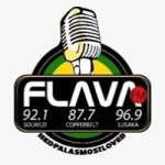 Logo da emissora Radio Flava 87.7 FM