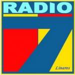 Logo da emissora Radio 7 91 FM