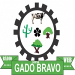 Rádio Sitio Gado Bravo