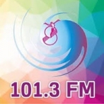 Rádio Salamanca 101.3 FM