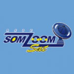 Rádio Somzoom Sat 91.3 FM