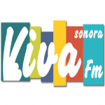 Rádio Viva 91.9 FM