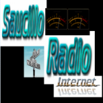Web Radio Delicias