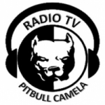 Rádio TV Pitbull Camela