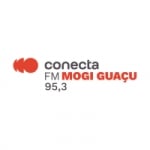 Rádio Conecta 95.3 FM
