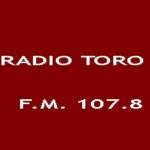 Radio Toro 107.8 FM