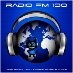 Rádio FM 100