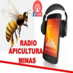 Rádio Apicultura Minas
