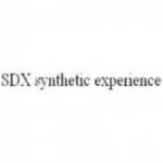 SDX Synthetic Experience