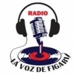 Radio La Voz de Figari