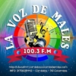 Radio La Voz de Males 100.3 FM