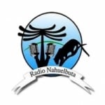Radio Nahuelbuta 105.9 FM