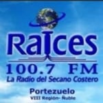 Radio Raíces 100.7 FM