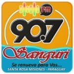 Radio Sanguri 90.7 FM