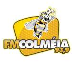 Rádio FM Colméia 93.9 FM
