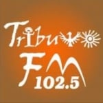 Radio Tributo 102.5 FM