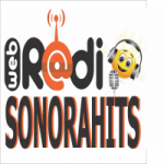 Rádio Web Sonora Hits