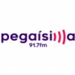 Radio Pegaisima 91.7 FM