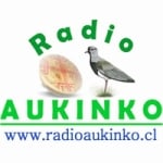 Radio Aukinko