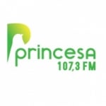 Rádio Princesa 107.3 FM