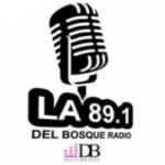 Radio Del Bosque 89.1 FM
