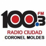 Radio Ciudad 100.3 FM