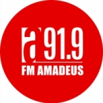 Radio Amadeus 91.9 FM