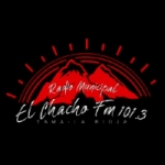 Radio Municipal 101.3 FM