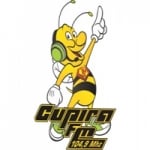 Rádio Cupira 104.9 FM