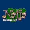Radio Naija 101.1 FM