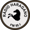 Rádio Haragano 95.1 FM