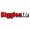 Radio Biggles 104.8 FM