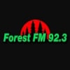 Radio Forest 92.3 FM