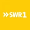 SWR 1 BW 94.7 FM