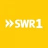 SWR 1 RP 87.7 FM