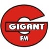 Gigant 101.9 FM