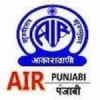 AIR Punjabi 11170 SW