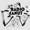 Canut 102.2 FM