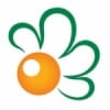 Margherita 95.2 FM