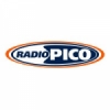 Radio Pico 101.5 FM