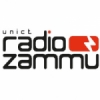 Zammu 89.4 FM