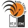 Radio Târgu Jiu 97.9 FM