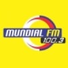 Rádio Mundial 100.3 FM