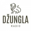 Radio Dzungla II Program