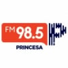Rádio Princesa 98.5 FM