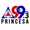 Rádio Princesa 99.3 FM