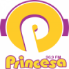 Rádio Princesa 96.9 FM