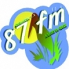 Rádio Pró Guaramirim 87.9 FM