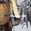 Piseiro FM