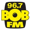 WCVS Bob 96.7 FM